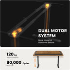 Desk Frame Dual Motor 120KG 4 Memory Motors