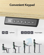 Desk Frame with Brushless Motor