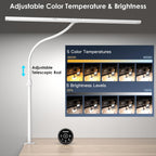 Desk Lamp 31.5 Inch Light for Home Office