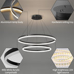 Dimmable LED Modern Chandelier 2 Ring Adjustable Hanging