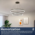 Dimmable LED Modern Chandelier 2 Ring Adjustable Hanging