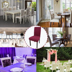 Dining Chair Covers Modern Elastic Stretch Protector (Set of 6)