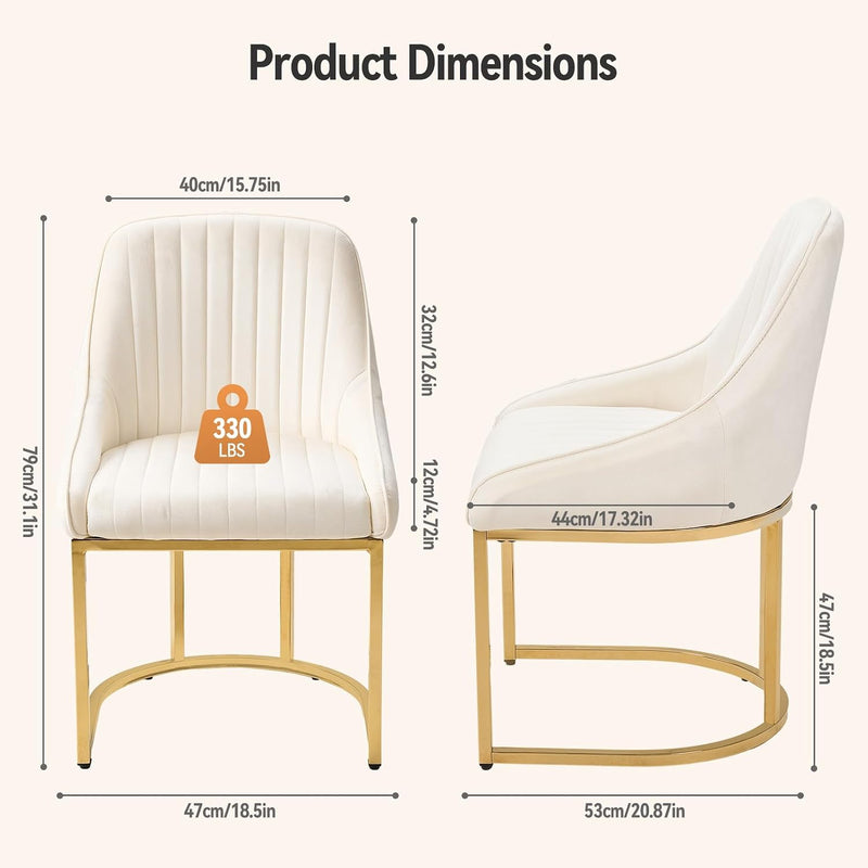 Dining Chairs Luxury Comfy Velvet Kitchen Room Chair (Set of 2)