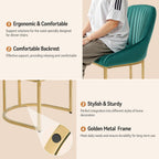 Dining Chairs Luxury Comfy Velvet Kitchen Room Chair (Set of 2)