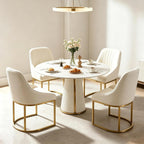 Dining Chairs Luxury Comfy Velvet Kitchen Room Chair (Set of 2)