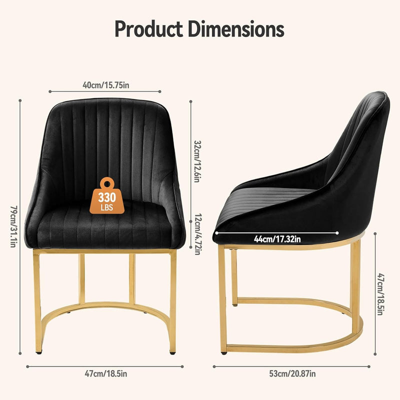Dining Chairs Luxury Comfy Velvet Kitchen Room Chair (Set of 2)