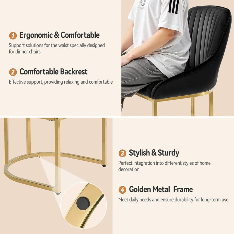 Dining Chairs Luxury Comfy Velvet Kitchen Room Chair (Set of 2)