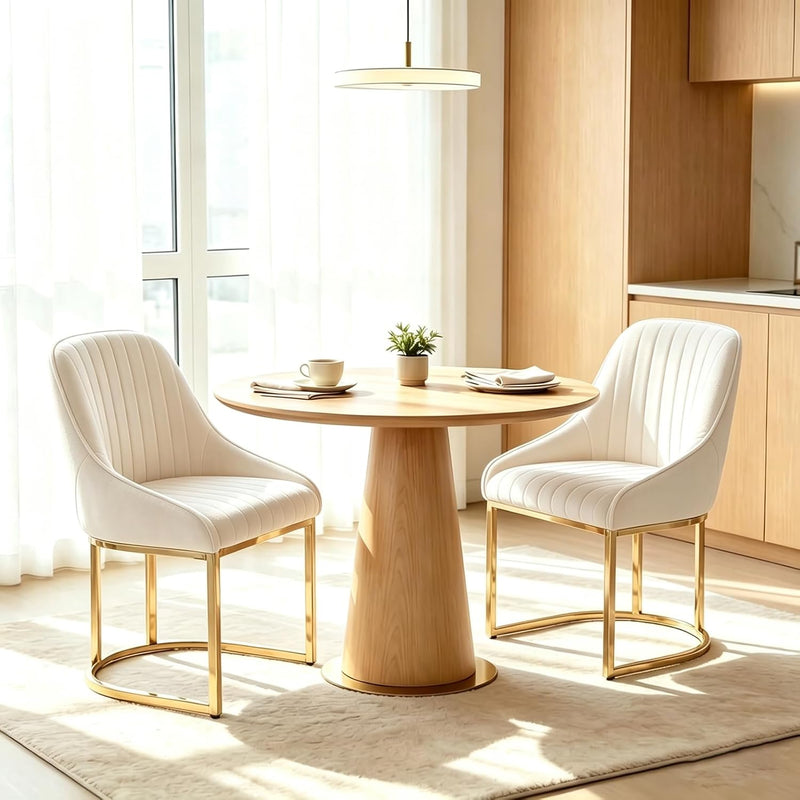 Dining Chairs Luxury Comfy Velvet Kitchen Room Chair (Set of 2)