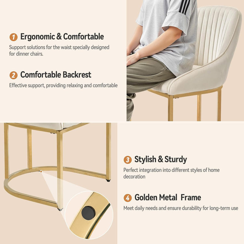 Dining Chairs Luxury Comfy Velvet Kitchen Room Chair (Set of 2)