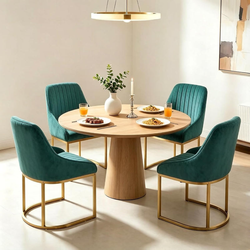 Dining Chairs Luxury Comfy Velvet Kitchen Room Chair (Set of 2)