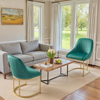 Dining Chairs Luxury Comfy Velvet Kitchen Room Chair (Set of 2)