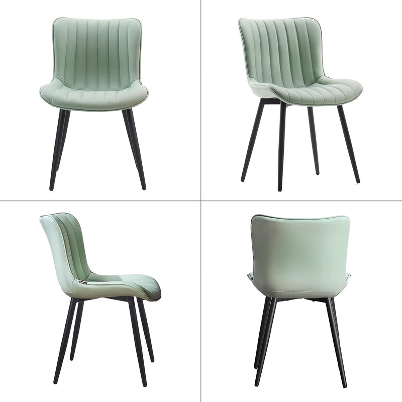 Dining Chairs Modern Kitchen Room (Set of 2)