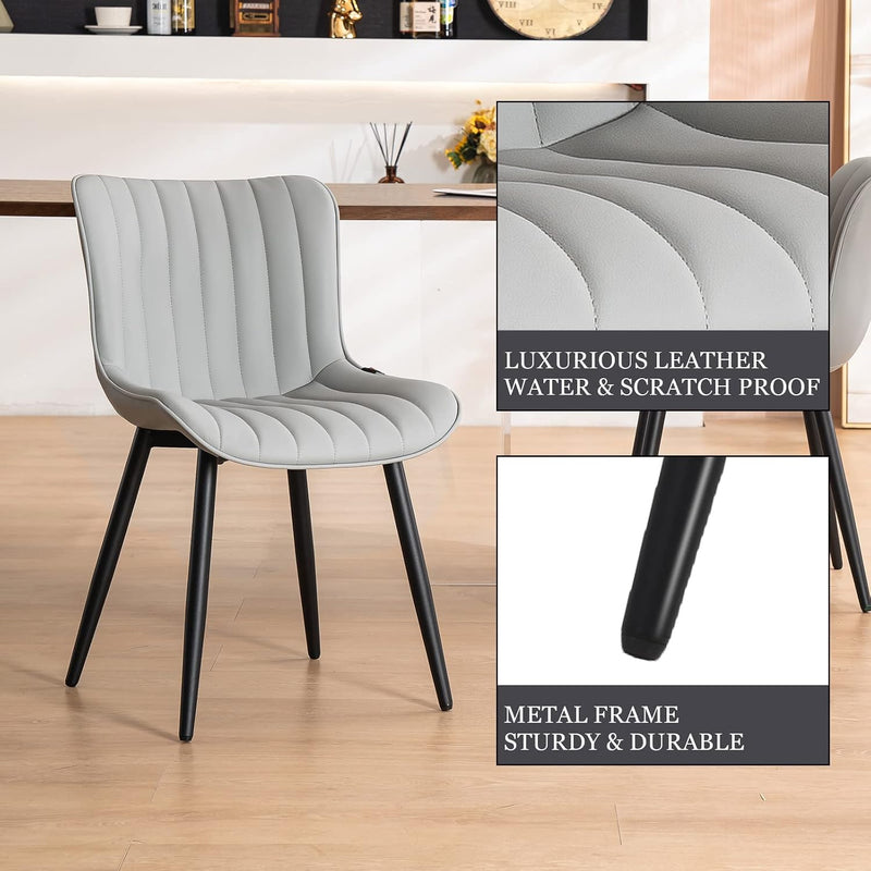 Dining Chairs Modern Kitchen Room (Set of 2)