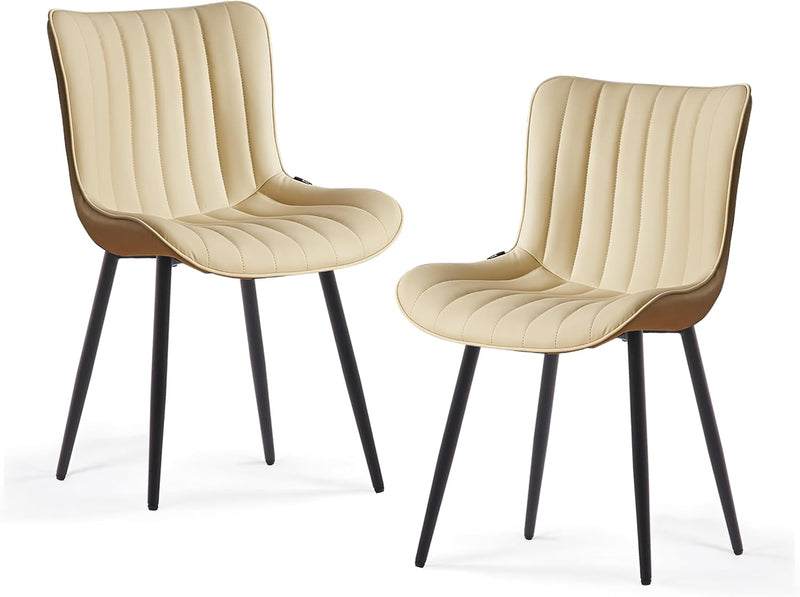 Dining Chairs Modern Kitchen Room (Set of 2)