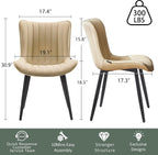 Dining Chairs Modern Kitchen Room (Set of 2)