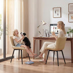 Dining Chairs Modern Kitchen Room (Set of 2)