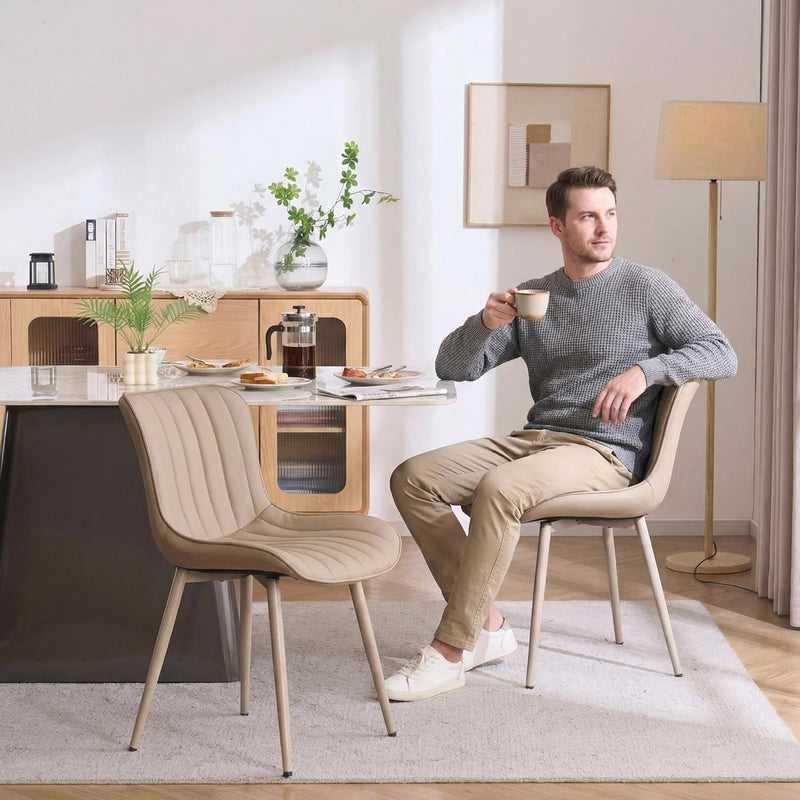 Dining Chairs Modern Kitchen Room (Set of 2)