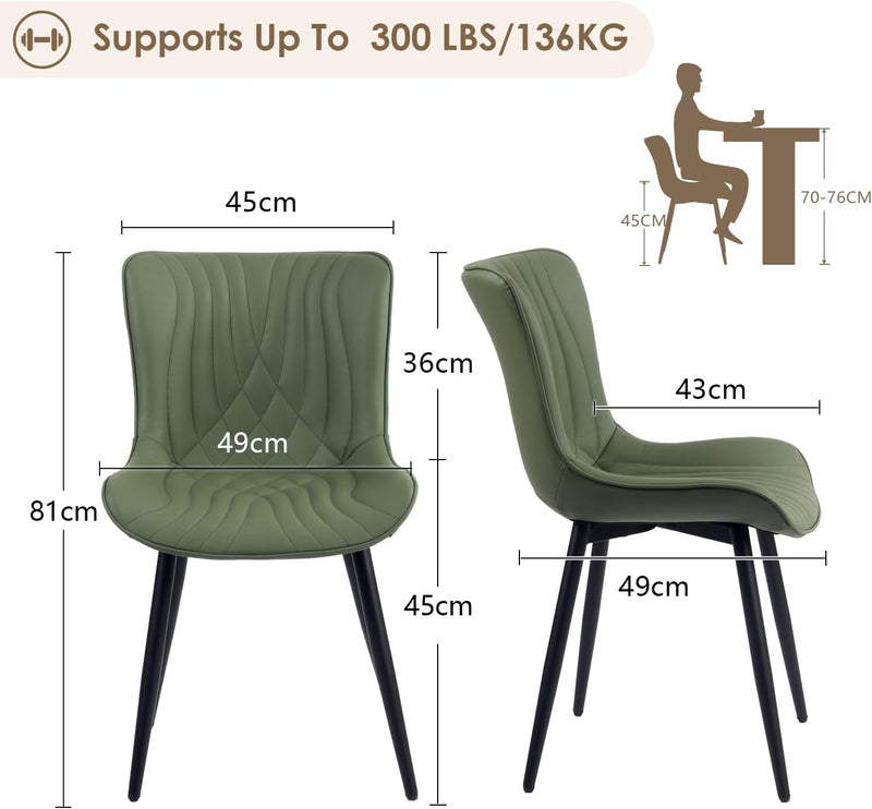 Dining Chairs Modern Room Chair (Set of 2)