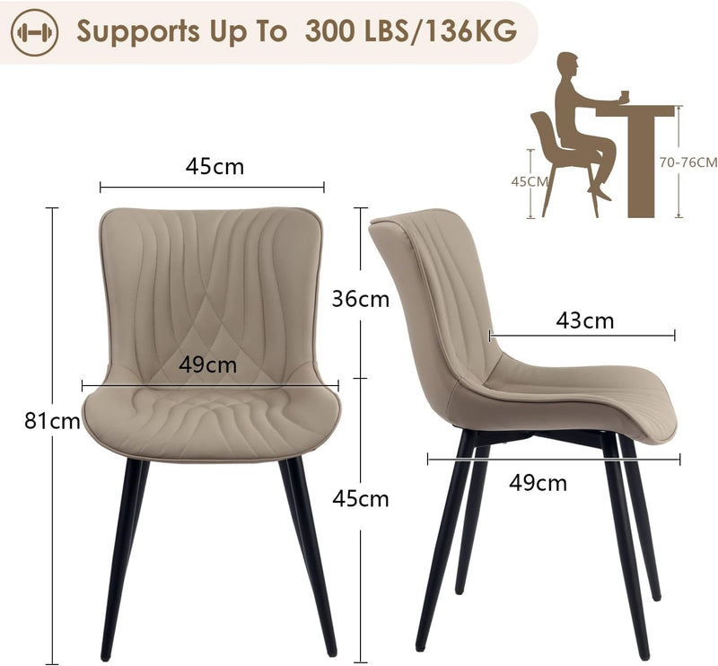 Dining Chairs Modern Room Chair (Set of 2)