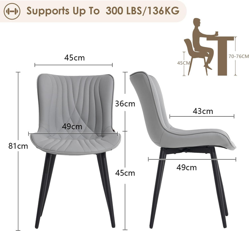 Dining Chairs Modern Room Chair (Set of 2)