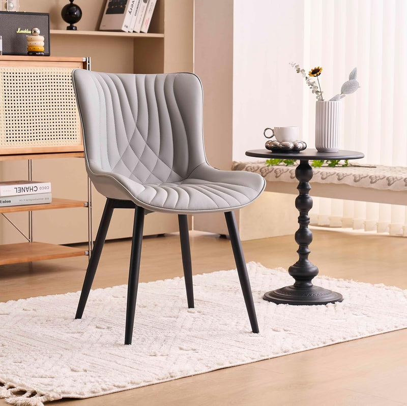 Dining Chairs Modern Room Chair (Set of 2)