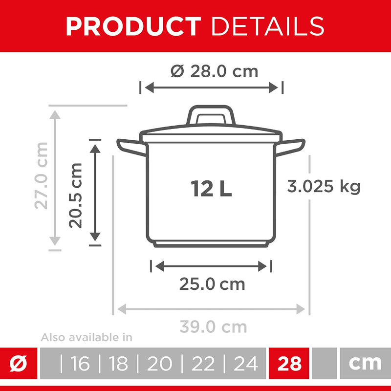 Dish 12L 18 10 Stainless Steel Induction