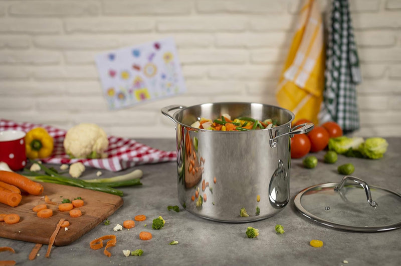 Dish 12L 18 10 Stainless Steel Induction