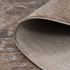 Distressed Warm Neutral Greige Living Room Area Runner