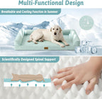 Dog Bed 122x81x19CM Orthopaedic X-Large Pet