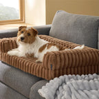 Dog Beds Large Waterproof Memory Foam Sofa