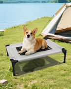 Dog Cot Bed