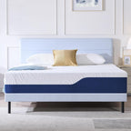 Double Mattress 25CM Medium Firm Memory Foam