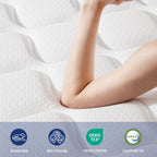 Double Mattresses Medium Firm for Back Lumbar