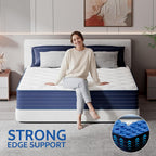 Double Mattresses Medium Firm for Back Lumbar