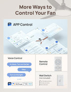Dreo Smart Ceiling Fans with Lights 52 Inch