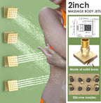Dual Shower Head System with Body Spray Jets