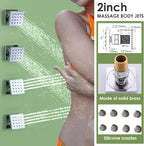 Dual Shower Head System with Body Spray Jets