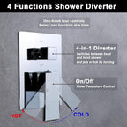 Dual Shower Head System with Body Spray Jets