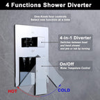 Dual Shower Head System with Body Spray Jets