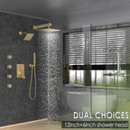 Dual Shower Head System with Body Spray Jets