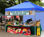 Gazebo Tent with 1 Sidewall