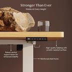 E1 Plus One Piece Electric Standing Desk Height