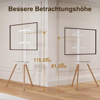 TV Easel for 43 to 65 Inch LCD
