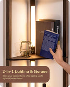 Edishine LED Floor Lamps with Shelves 4 Layers
