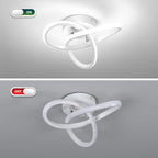 Eidisuny LED Ceiling Light Simple Curved Small