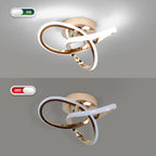 Eidisuny LED Ceiling Light Simple Curved Small