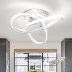 Eidisuny LED Ceiling Light Simple Curved Small