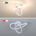 Eidisuny LED Ceiling Light Simple Curved Small