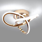 Eidisuny LED Ceiling Light Simple Curved Small