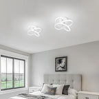 Eidisuny LED Ceiling Light Simple Curved Small